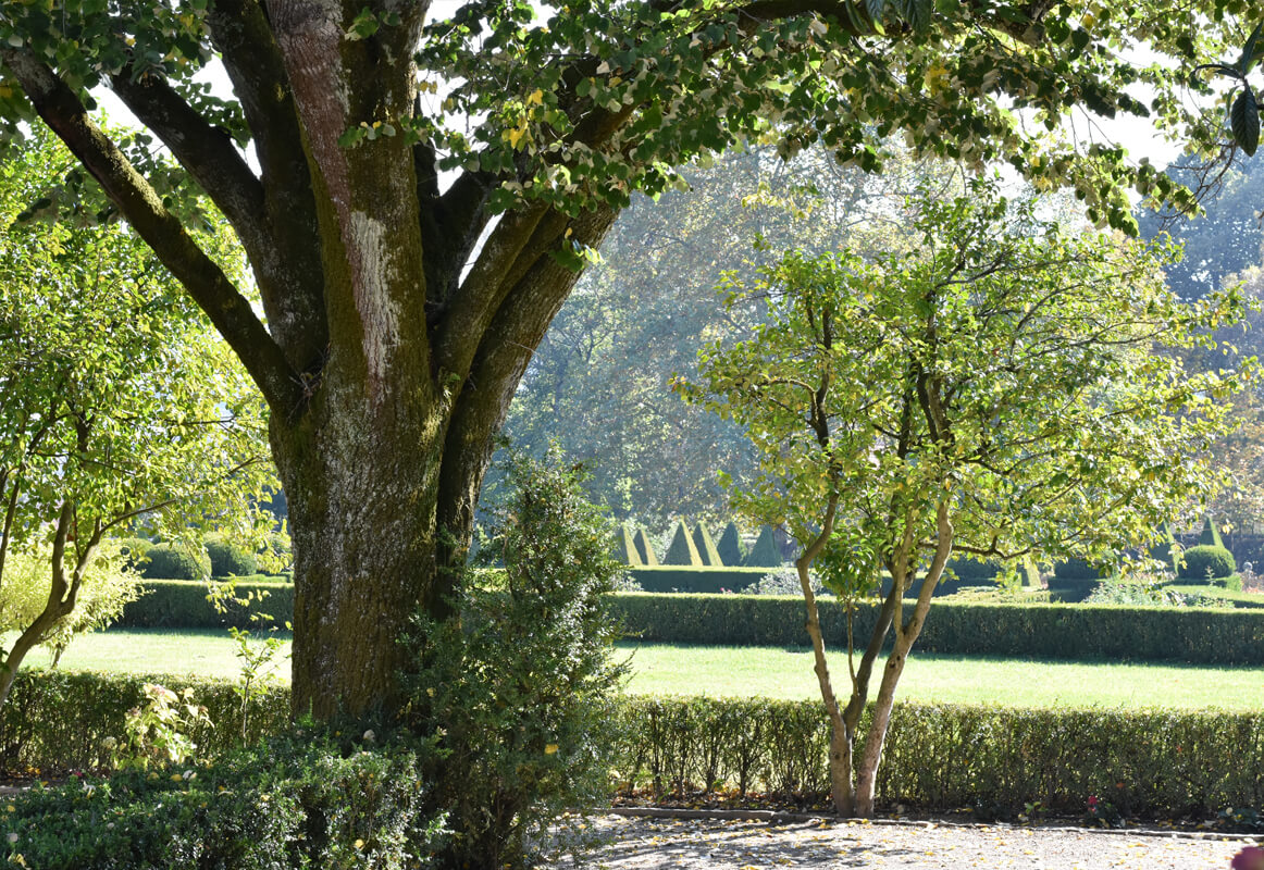 casa-de-santar-jardins-
