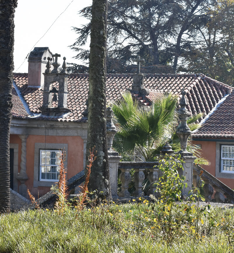 GALERIA SANTAR Casas 17