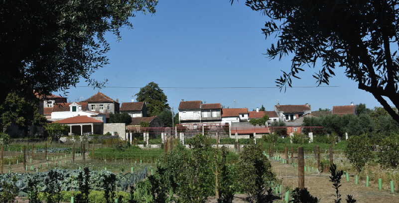 GALERIA SANTAR Casas 25