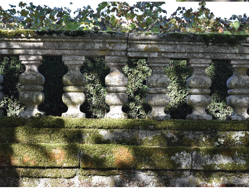 Galeria Jardins 13